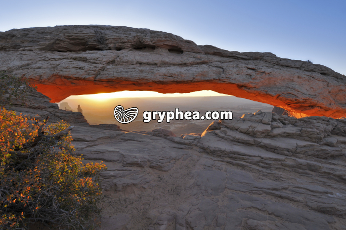 Mesa Arch Canyonlands NP (Utah, USA) - gryphea.org